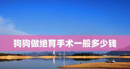给狗狗绝育的利弊有哪些？如何做出决定？