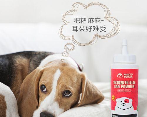 给猫清洁耳朵用什么好？如何正确清洁猫耳朵？