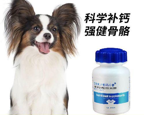 狗吃什么微量元素多？如何确保宠物营养均衡？