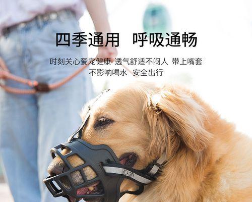 狗狗被咬后不吃东西怎么办？如何快速恢复食欲？