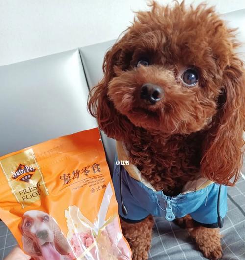 狗狗误食零食袋怎么办？如何预防宠物误食异物？