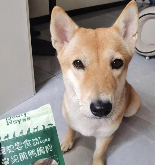 狗狗误食零食袋怎么办？如何预防宠物误食异物？