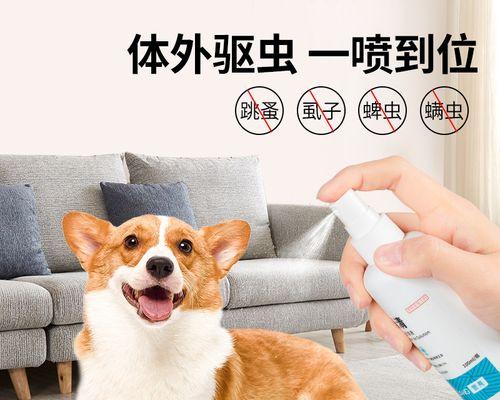 狗狗打嗝吃什么药好？有效缓解宠物打嗝的方法是什么？