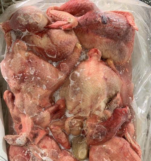 狗狗鸡架配什么吃好？营养搭配和健康喂食指南