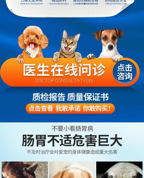 狗狗拉稀两天怎么办？如何快速识别原因并采取措施？