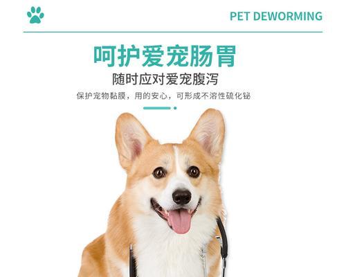 狗狗拉血时能否使用庆大霉素？正确处理方法是什么？