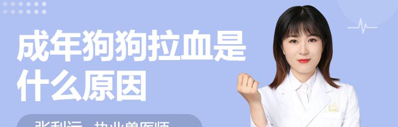 狗狗拉血了怎么治疗？需要立即采取哪些措施？