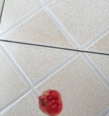 狗狗拉血能吃什么药？如何正确选择治疗药物？