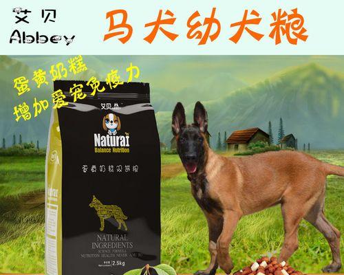 三个月大的狗狗可以开始吃狗粮了吗？常见问题解答