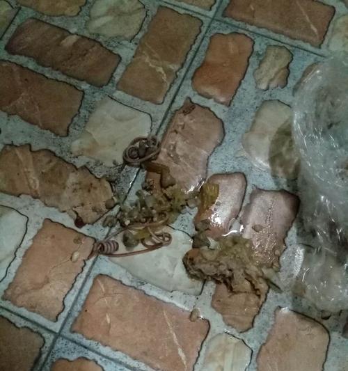 狗狗吐白沫是体内有寄生虫的征兆吗？
