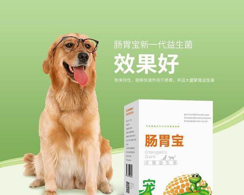 狗狗呕吐了怎么办？如何进行家庭治疗和预防？
