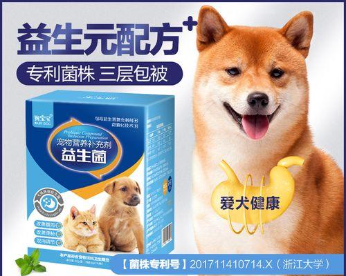 狗狗胃堵塞不大便吐怎么办？常见原因及处理方法是什么？