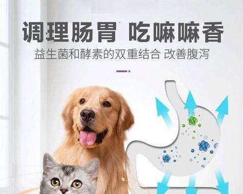 狗狗胃瘤的症状有哪些？如何及时发现和处理？