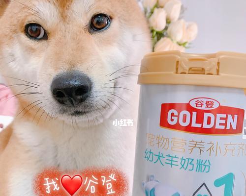 狗狗一天只喂一顿羊奶粉可以吗？常见问题解答