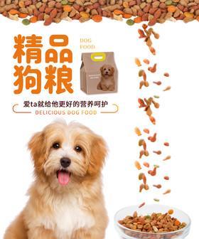 狗狗幼犬狗粮哪个好？如何选择适合幼犬的狗粮品牌？