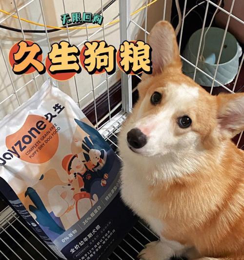 狗狗幼犬狗粮哪个好？如何选择适合幼犬的狗粮品牌？