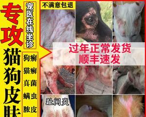 狗狗真菌皮肤病偏方有效吗？如何正确使用？