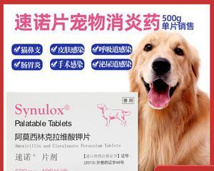 狗骨折后消炎药选择？如何正确给狗狗使用消炎药物？