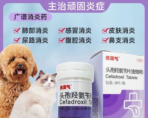 狗伤口用什么消炎药？如何正确选择和使用？