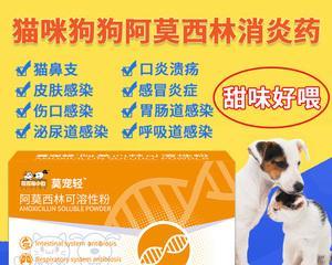 狗伤口用什么消炎药？如何正确选择和使用？