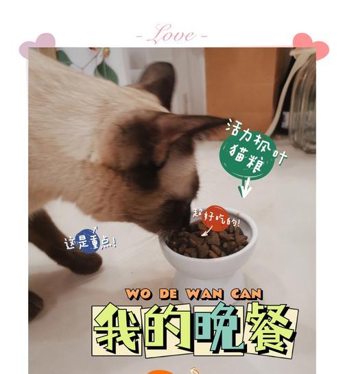 一岁多暹罗猫的猫粮摄入量应该是多少？