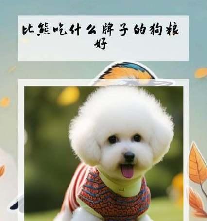 比熊能吃鸡心鸡肝吗？怎么做才美味又健康？