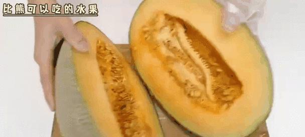 比熊能吃鸡心鸡肝吗？怎么做才美味又健康？