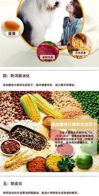 古牧幼犬每天应该吃多少狗粮？喂食建议是什么？