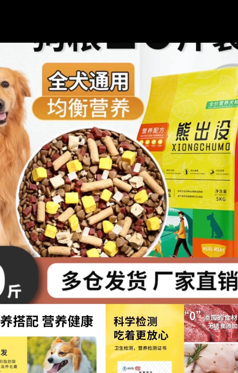 比熊新到家为何不宜换狗粮？适应期喂食建议是什么？