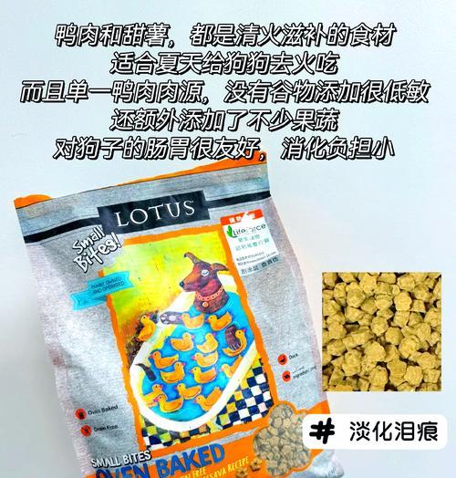 比熊幼犬每日狗粮需求量是多少？如何合理安排喂食？