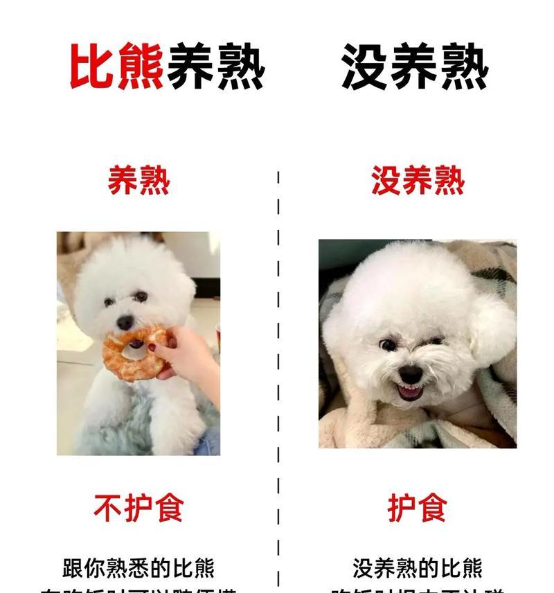 三个月大的比熊能吃多少鸡胸肉？鸡胸肉对幼犬的益处是什么？