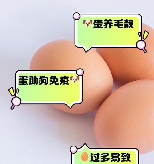 用鸡蛋做狗粮对狗的健康有影响吗？自制鸡蛋狗粮的口感如何？