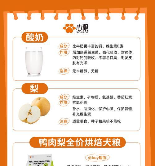 喂狗狗粮时应该掺多少玉米面？如何确保营养均衡？