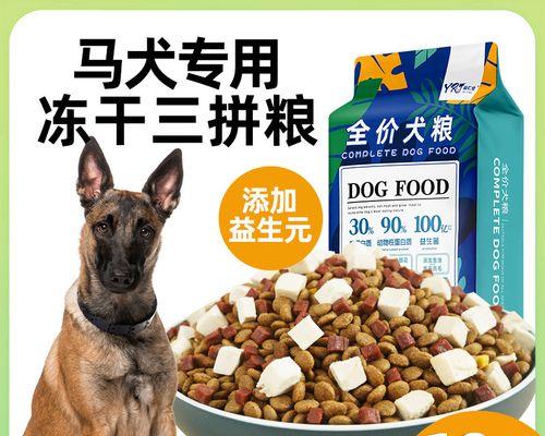 六个月中型犬每顿应吃多少狗粮才合适？