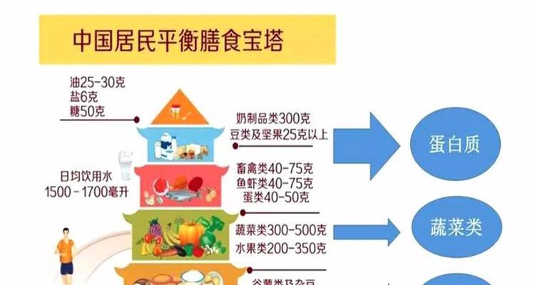 比熊狗吃鸡胸肉时应该搭配哪些蔬菜？如何平衡营养？