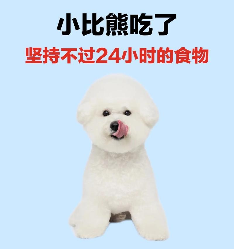 可以为比熊准备一个月的食物吗？自制食物的保存和营养如何保证？