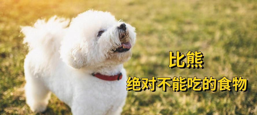 可以为比熊准备一个月的食物吗？自制食物的保存和营养如何保证？