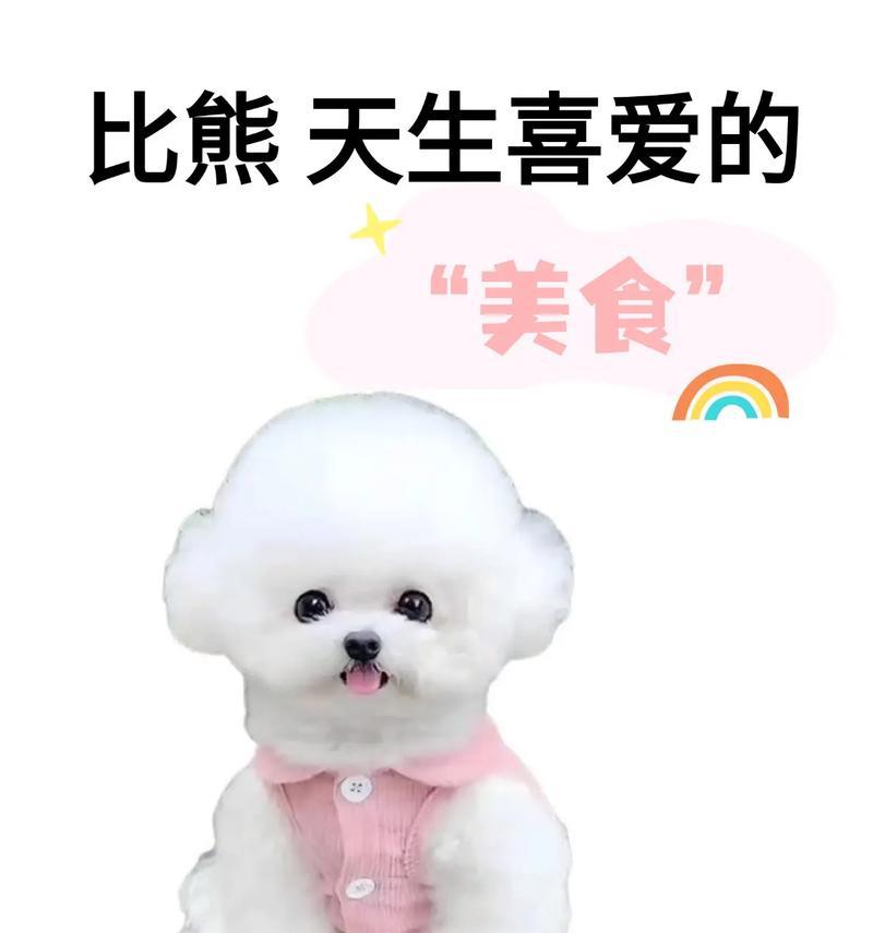 两个月大的比熊可以吃生蛋黄吗？