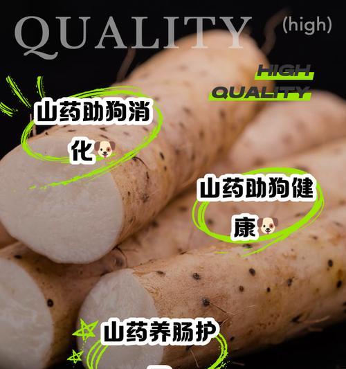 怀孕的比熊可以吃山药吗？有哪些食物是孕期比熊应该避免的？