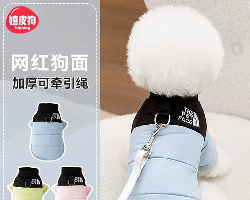 一岁的泰迪比熊能吃鸡肝吗？
