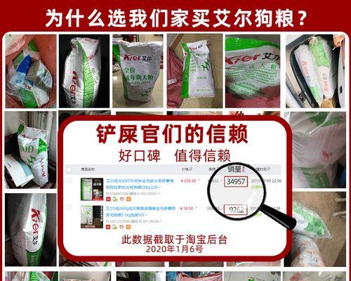 古牧幼犬每天需要多少狗粮？喂食标准是什么？