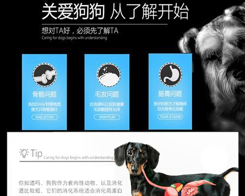 两个半月大的柴犬狗粮摄入量是多少？