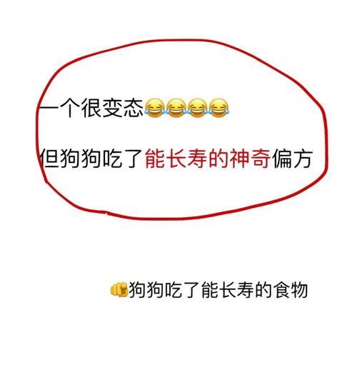 比熊犬可以吃无盐食物吗？吃无盐食物对它们有什么好处？