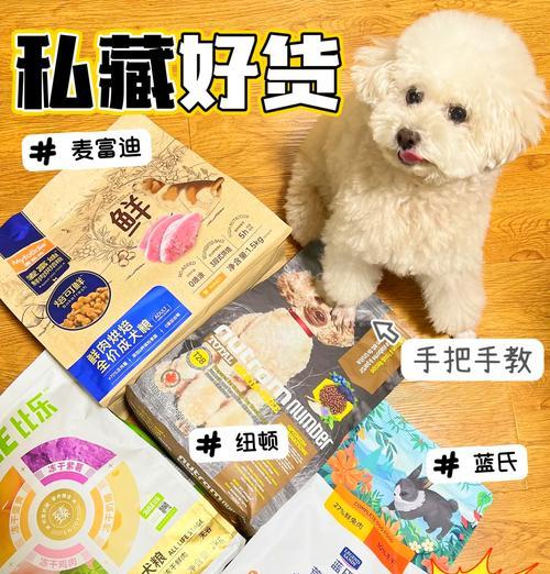 四个月大的中型犬每天需要多少狗粮？喂食指南是什么？