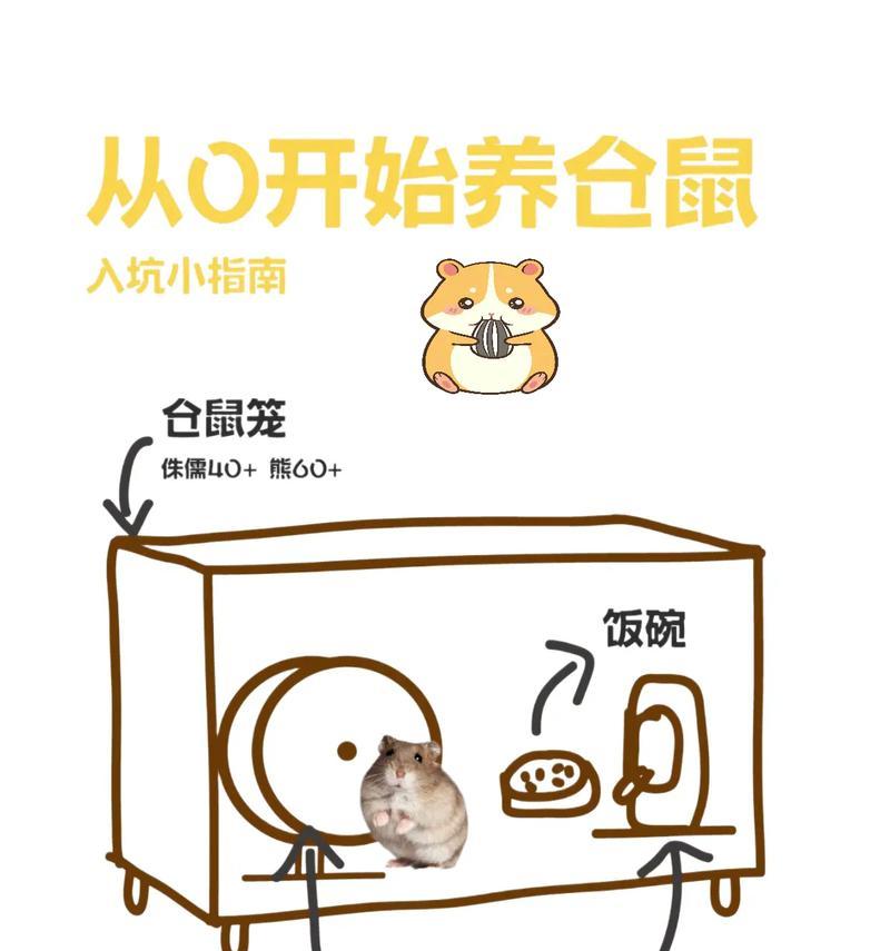 哪种仓鼠既好养又经济实惠？如何照顾它们？