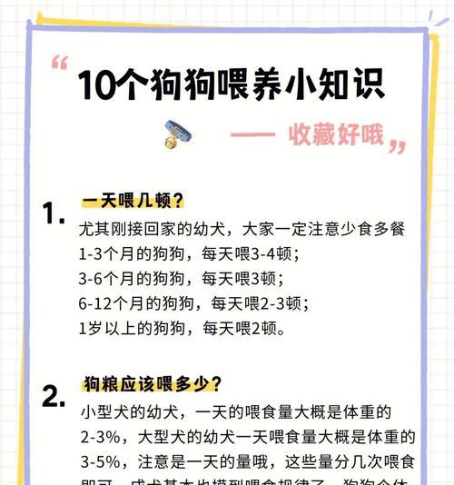 四个月中型犬狗粮食量多少？如何判断是否吃饱？