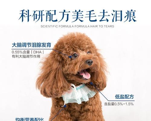 10斤狗粮供两只小型犬能吃多久？