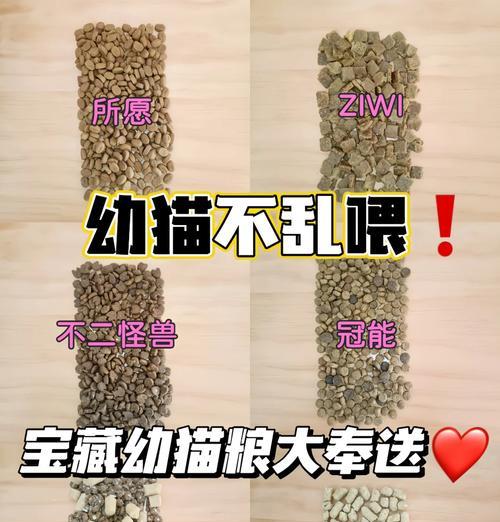 幼猫每次应该吃多少猫粮？毫升数如何计算？