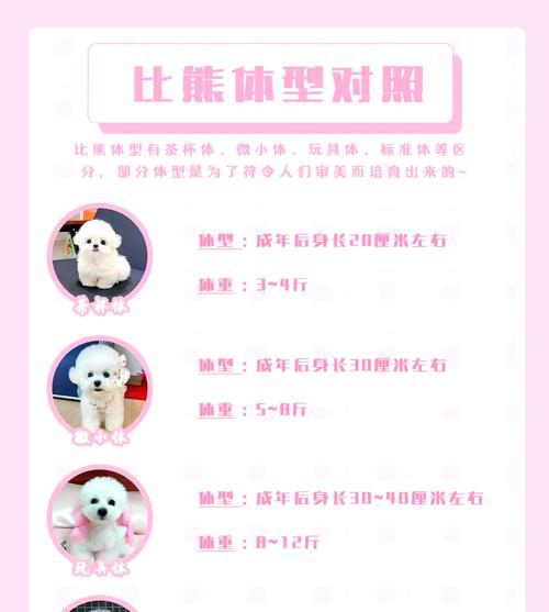 比熊适合吃清淡饮食狗粮吗？如何选择合适品牌？