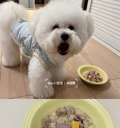 比熊吃冻干鸡肝的做法过程是怎样的？